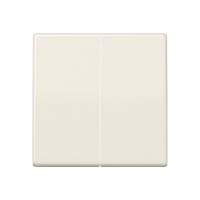 Двойная клавиша для балансирных механизмов выключателей (кнопок), в комплекте с AS90-5HP (крепежный элемент), возможно IP44; дюропласт; слоновая кость; AS500, AS591-5 Двойная клавиша для балансирных механизмов выключателей (кнопок), в комплекте с AS90-5HP (крепежный элемент), возможно IP44; дюропласт; слоновая кость; AS500, AS591-5