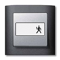 SM Клавиша 1-ная полем для надписи, антрацит