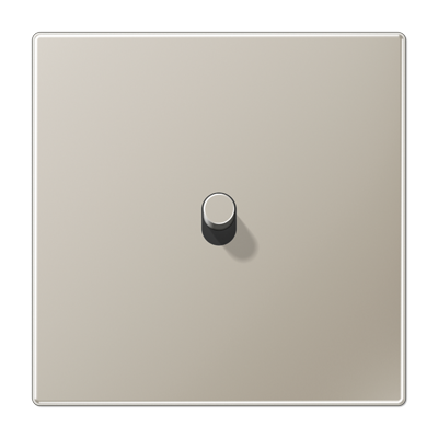 Центральная плата, 1 пост, 1 тумблер, цилиндр; металл; нержавеющая сталь; LS1912, ES12-0R1