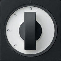 0669005 Gira Накладка с ручкой для трехступенчатого переключателя