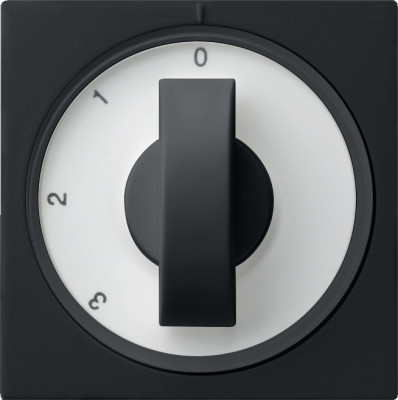 0669005 Gira Накладка с ручкой для трехступенчатого переключателя