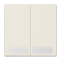 Клавиши для сдвоенной кнопки BCU;  поле для надписи, LS995NA