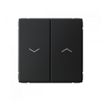 GAL001019S - ARTGALLERY 2-клавишный ВЫКЛЮЧАТЕЛЬ ДЛЯ ЖАЛЮЗИ, 2х сх.4, 10А, механизм, быстрозажим. клем., КАРБОН, Systeme Electric