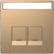 D-Life Накладка 2-ная для 2хRJ45 кат.5/6, шампань