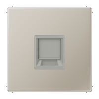 Плата (фиксация защёлкиванием) для одного модуля; металл; нержавеющая сталь, ES1969-1WE