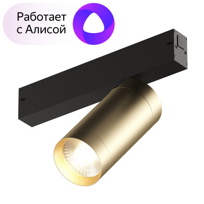 Denkirs DK8020-BG Акцентный светильник SMART SPOT 20W DIM 3000K-6000K, матовое золото с черным