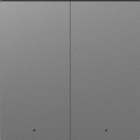 Donel A07 сталь клавиша 2-я с подсветкой, серия DB, DE28537