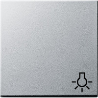 028526 Gira Клавиша с пиктограммой "свет"