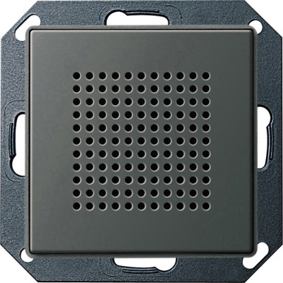 228220 - Gira E22 Дополнительный динамик для радиоприемника скрытого монтажа в функцией RDS