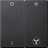 SM Клавиша 2-ная для мех-зма выкл. вентилятора с символами, антр.