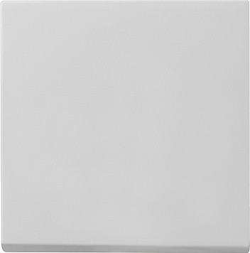 0296015 Gira Клавиша одинарная