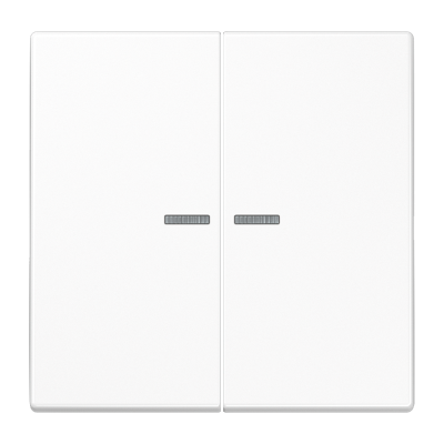 Двойная клавиша с окошками для балансирных механизмов выключателей (кнопок), в комплекте с CD95HP (крепежный элемент), возможно IP44; дюропласт; белый; LS990, LS995KO5WW