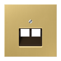 Крышка для двойных телефонных и компьютерных розеток (UAE), фиксация винтом; металл; латунь classic; Messing, ME2969-2UAC