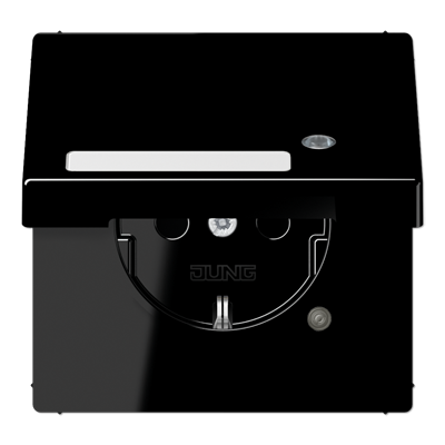 SCHUKO-розетка с крышкой  , LS1520NAKLKOSW