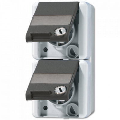 Двойная SCHUKO-розетка 16A 250V~ с полем для надписи; для накладного монтажа IP44, 822NAWSL