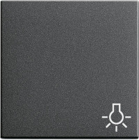 028528 Gira Клавиша с пиктограммой "свет"