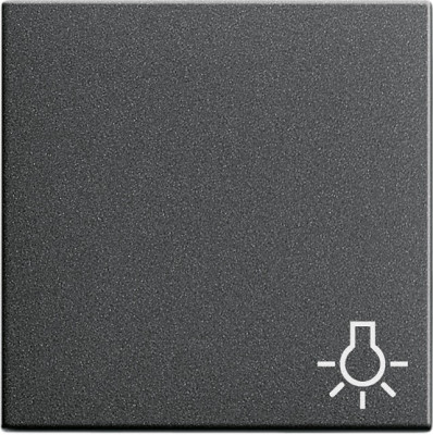 028528 Gira Клавиша с пиктограммой "свет"