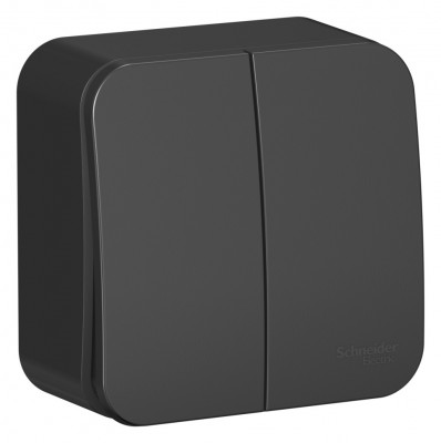 BLANCA О/У 2-клавишный ВЫКЛЮЧАТЕЛЬ (cх.5) изолирующая пластина, 10А, 250B, АНТРАЦИТ