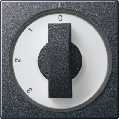 066928 Gira Накладка с ручкой для трехступенчатого переключателя