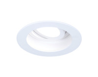 Встраиваемый поворотный точечный светильник MR16 1*GU5.3, AMBRELLA LIGHT, TN175
