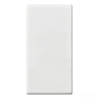 Vimar Клавиша на 1 модуль с индикатором "диск", 14021.G