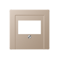 Крышка для ТАЕ и USB розеток, фиксация винтом; дюропласт; шампань; A500, A569PLTCH