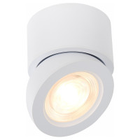 ST LUCE ST654.532.10 Светильник потолочный Белый LED 1*10W 3000K 850Lm Ra>90 38° IP20 D95xH96 180-240V
