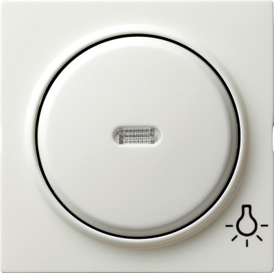 028540 Gira Клавиша с пиктограммой "свет"