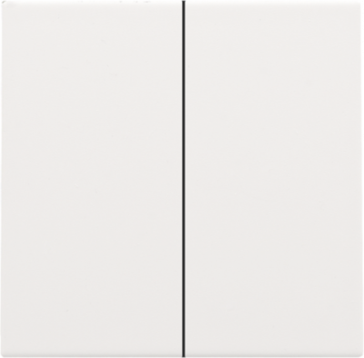 Niko Home Control Пластик Белая сталь Клавиша двойная NHC, 154-31004