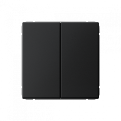 GAL001065S - ARTGALLERY 2-клавишный ПЕРЕКЛЮЧАТЕЛЬ, 10АХ, механизм, быстрозажим. клем., КАРБОН, Systeme Electric