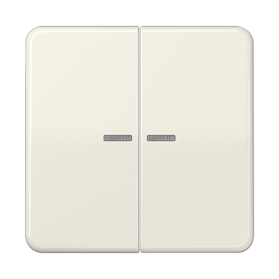 Клавиша для KNX кнопки, 2 группы с окошком; дюропласт; слоновая кость, CD102KO5