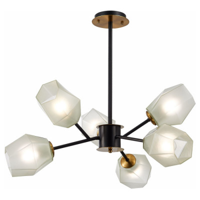 Evoluce SLE205102-06 Светильник потолочный Латунь, Черный/Белый E27 6*60W