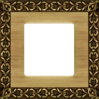 FD01221PB Fede San Sebastian Рамка 1-ная, Bright Patina