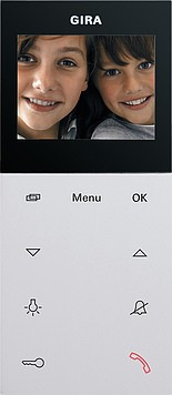 123927 Gira Квартирная видеостанция накладного монтажа Plus