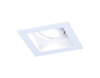 Встраиваемый поворотный точечный светильник MR16 1*GU5.3, AMBRELLA LIGHT, TN180