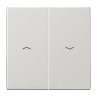 Клавиша для выключателя управления жалюзи; светло-серая, LS995PLG