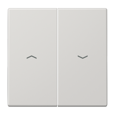 Клавиша для выключателя управления жалюзи; светло-серая, LS995PLG