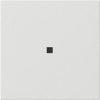 536803 Gira Накладка управления System 3000 BT