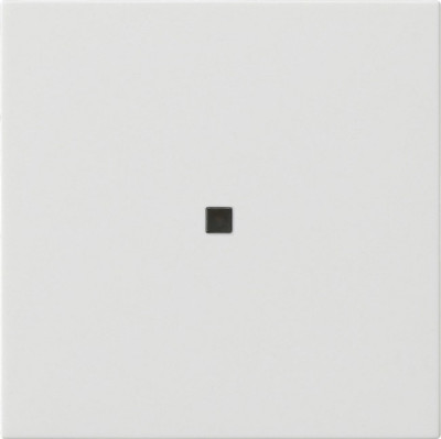 536803 Gira Накладка управления System 3000 BT