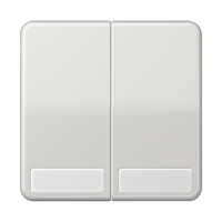 Клавиши для сдвоенных выключателей и кнопок с полем для надписи; светло-серые, CD595NALG