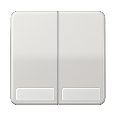 Клавиши для сдвоенных выключателей и кнопок с полем для надписи; светло-серые, CD595NALG