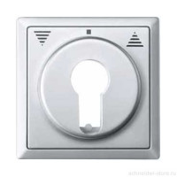 SD Накладка на выключатель-кнопку для жалюзи, управл. ключом,  алюм.