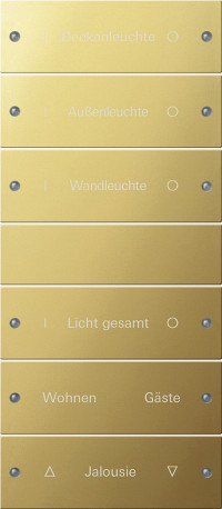 2136608 Gira Комплект клавиш, 6 шт. (3+3). ГРАВИРОВКА