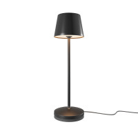 Аккумуляторный светильник Maytoni MOD494RL-L1BK