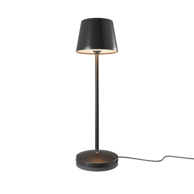 Аккумуляторный светильник Maytoni MOD494RL-L1BK