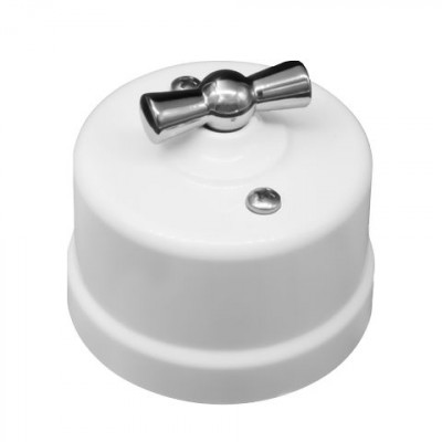 Bironi Выключатель 1-кл., пластик, цвет Белый, Серебро, B1-200-21-S