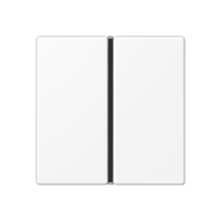 Набор накладок 1 группа для модулей F40; термопласт; белый матовый, A401TSAWWM