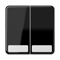 Клавиши для сдвоенных выключателей и кнопок с полем для надписи; черные, CD595NASW