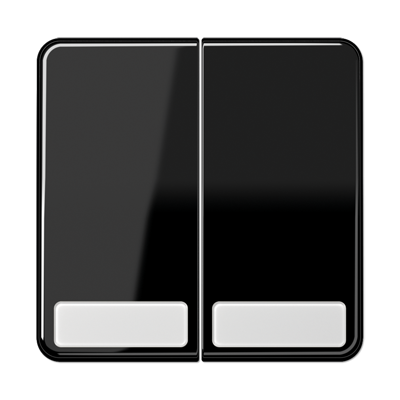 Клавиши для сдвоенных выключателей и кнопок с полем для надписи; черные, CD595NASW