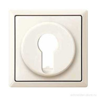 SD  Накладка для выключателя, управл. ключом, арт.№SCMTN318601, беж.